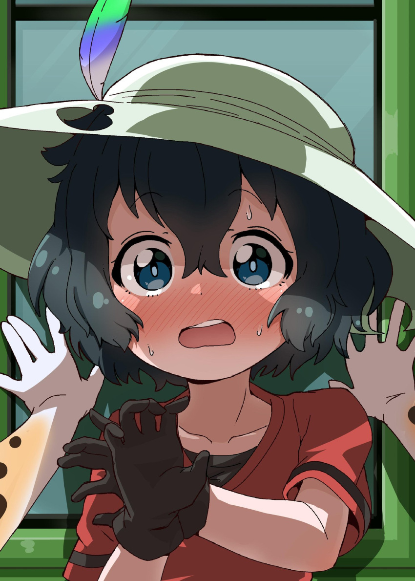 2girls :o bangs black_gloves black_hair blue_eyes blush collarbone commentary elbow_gloves female_pov flustered gloves hair_between_eyes hat hat_feather highres kaban_(kemono_friends) kemono_friends looking_at_viewer multiple_girls nekonyan_(inaba31415) nose_blush pov print_gloves red_shirt serval_(kemono_friends) serval_print shirt short_hair short_sleeves solo_focus sweat upper_body wall_slam wavy_mouth yuri