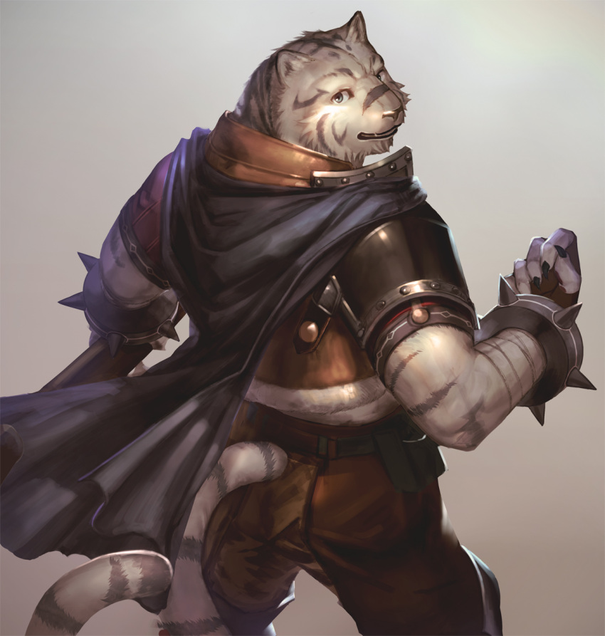 1boy animal_ears armor belt belt_pouch bracelet brown_pants cape claws furry grey_background grey_eyes highres jewelry kazashino_miyabi looking_at_viewer looking_back mercenary_(zero_kara_hajimeru_mahou_no_sho) pants pouch simple_background smile spiked_bracelet spikes standing tail tiger tiger_ears tiger_tail white_hair zero_kara_hajimeru_mahou_no_sho