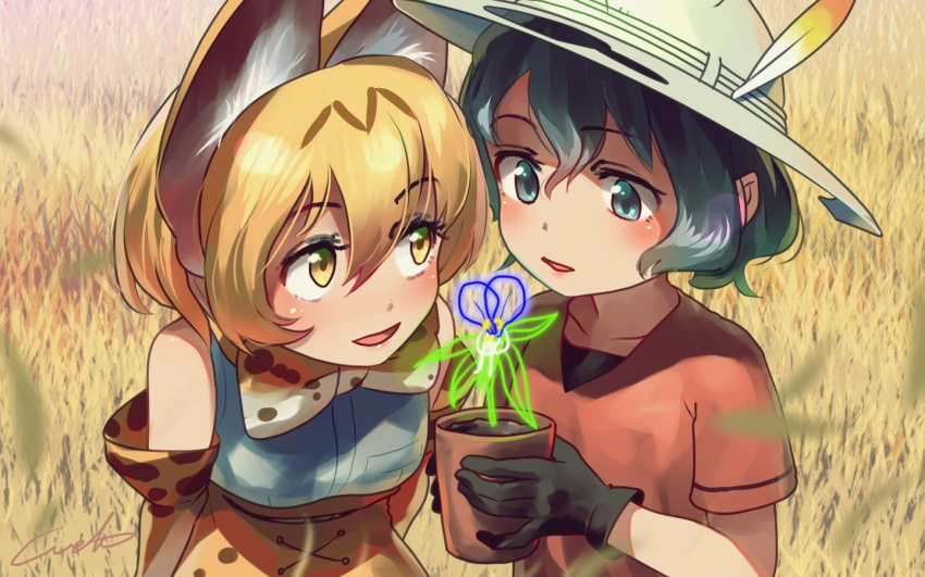 2girls animal_ear_fluff animal_ears bangs bare_shoulders black_gloves black_hair blonde_hair bow bowtie collarbone commentary_request elbow_gloves eyebrows_visible_through_hair eyes_visible_through_hair gloves grass green_eyes hair_between_eyes hat hat_feather high-waist_skirt holding kaban_(kemono_friends) kemono_friends looking_at_another multiple_girls parted_lips plant potted_plant print_gloves print_neckwear print_skirt red_shirt serval_(kemono_friends) serval_ears serval_print shirt short_hair short_sleeves signature skirt sleeveless sleeveless_shirt upper_body welt_(kinsei_koutenkyoku) white_shirt yellow_eyes