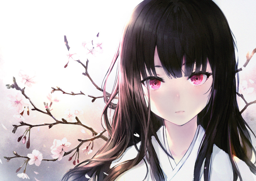 1girl bangs black_hair blunt_bangs blush branch cherry_blossoms closed_mouth expressionless haori_iori highres long_hair looking_at_viewer original red_eyes solo symbol_commentary upper_body