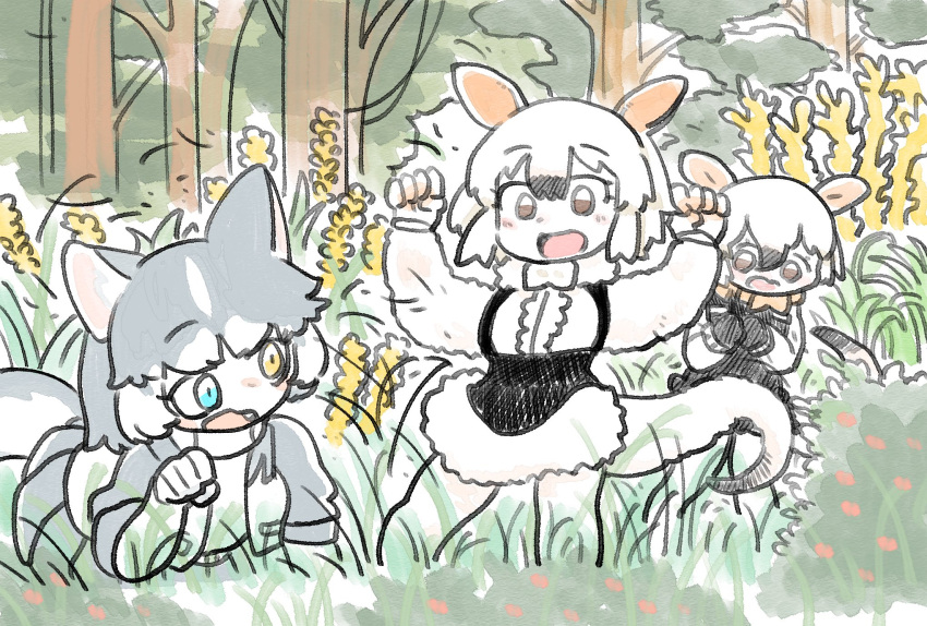 3girls animal_ears bangs black_hair blue_eyes brown_eyes commentary day dog_(mixed_breed)_(kemono_friends) dog_ears fang forest grass grey_hair gunzan hair_between_eyes hands_up heterochromia highres kemono_friends multicolored_hair multiple_girls nature open_mouth outdoors paw_pose plant short_hair southern_tamandua_(kemono_friends) southern_tamandua_ex_(kemono_friends) tamandua_ears tamandua_tail two-tone_hair white_hair yellow_eyes