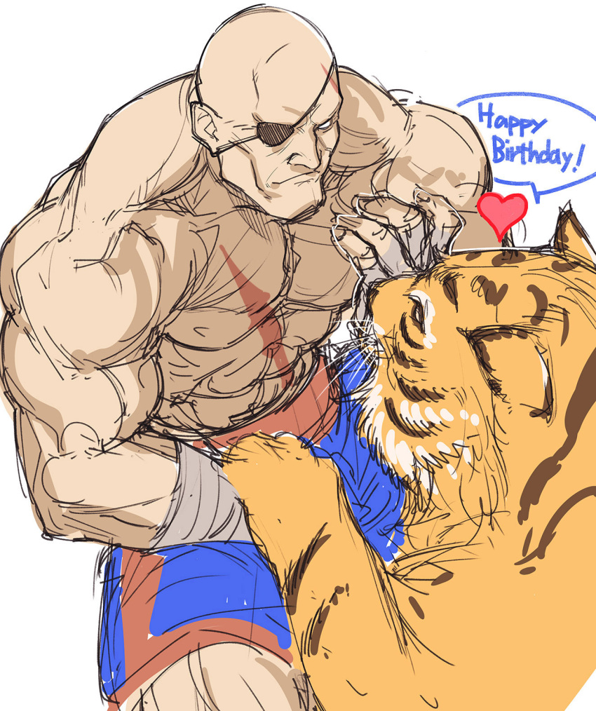 1boy animal animal_hug bald commentary_request eyepatch happy_birthday heart highres male_focus muscle one-eyed sagat scar shirtless shorts solo_focus tetsu_(kimuchi) tiger white_background