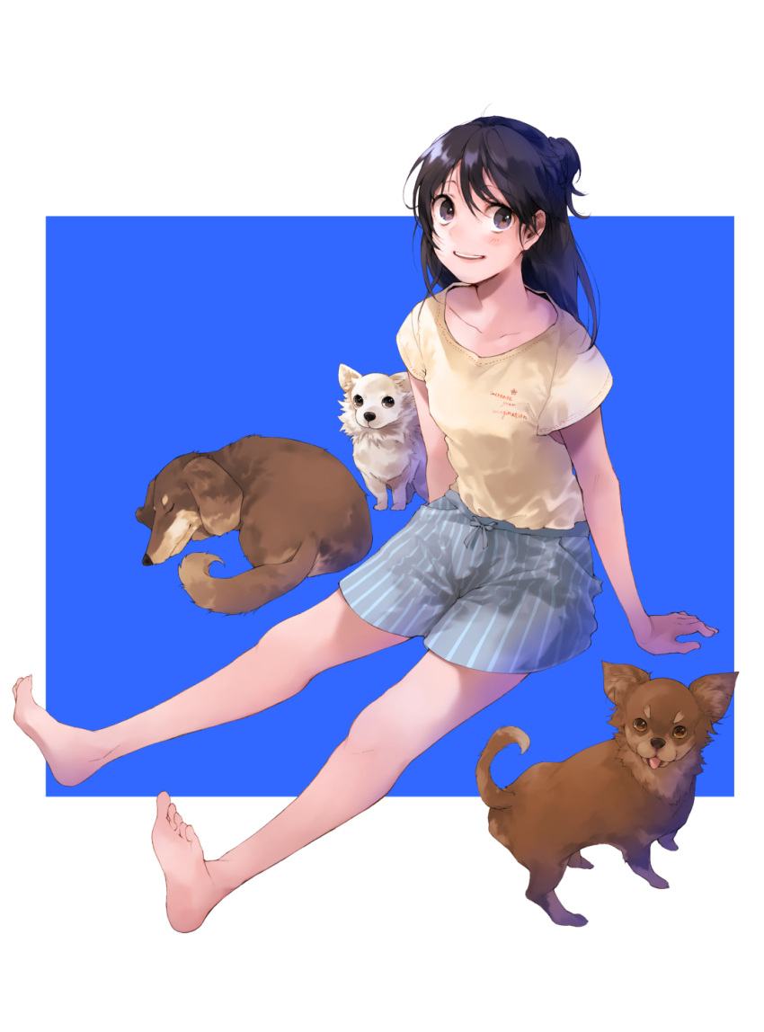 1girl barefoot black_hair boxers brown_eyes chihuahua collarbone dachshund dog highres long_hair nozomi_ogino original shirt simple_background sitting smile solo t-shirt underwear