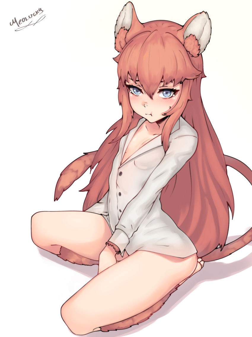 1girl :t absurdres animal_ear_fluff animal_ears artist_name bangs barefoot between_legs blue_eyes bottomless breasts brown_fur brown_hair commentary commission dormouse_(monster_girl_encyclopedia) dress_shirt english_commentary full_body fur hair_between_eyes hand_between_legs highres long_hair looking_at_viewer monster_girl monster_girl_encyclopedia mouse_ears mouse_girl mouse_tail naked_shirt original ovosh147 pout shirt signature simple_background small_breasts solo tail vellu_(geenymous) very_long_hair white_background white_shirt