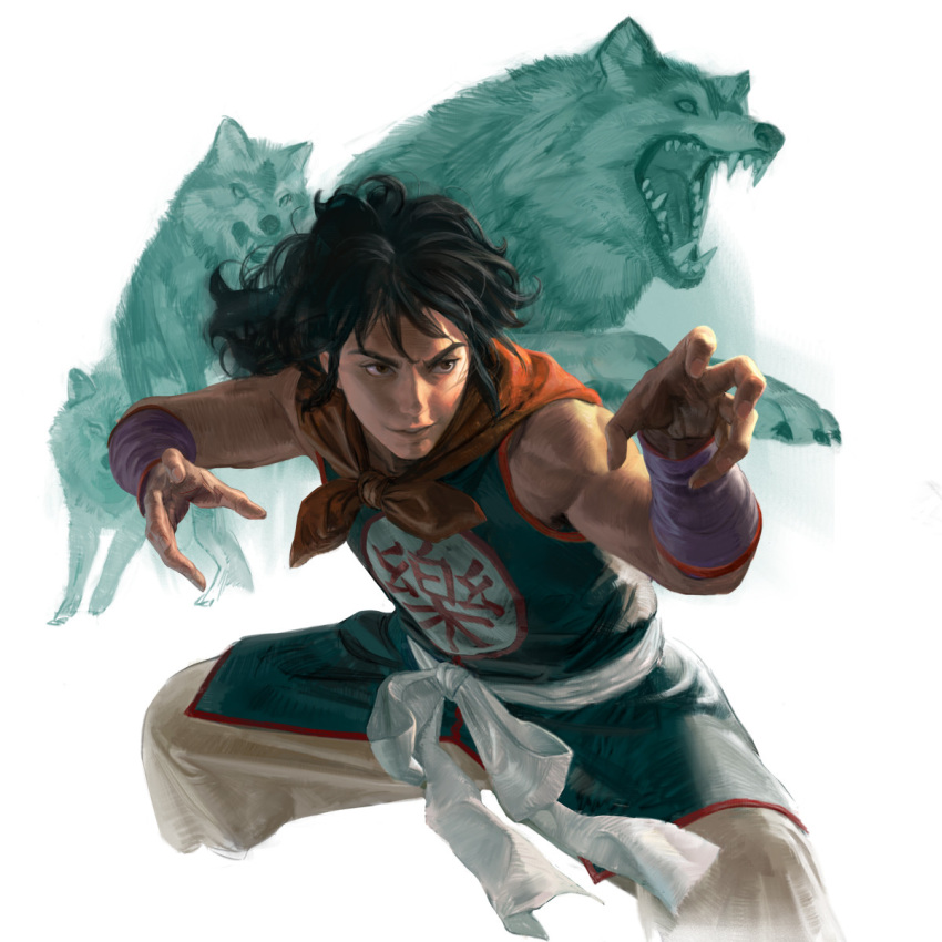 1boy black_hair brown_eyes dougi dragon_ball dragon_ball_(classic) fangs fighting_stance highres long_hair male_focus open_mouth sangsoo_jeong sidelocks simple_background smile solo white_background wolf yamcha