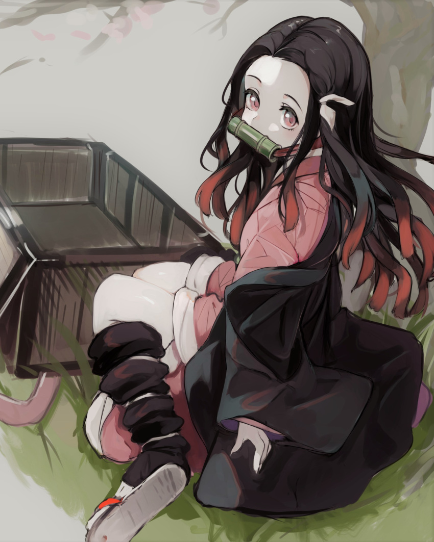 1girl absurdres bamboo bangs bit_gag black_hair black_legwear brown_hair forehead gag gradient_hair hair_ribbon highres homo_1121 japanese_clothes kamado_nezuko kimetsu_no_yaiba kimono kneehighs long_hair long_sleeves looking_at_viewer looking_back multicolored_hair off_shoulder open_clothes parted_bangs pink_kimono red_eyes ribbon sleeves_past_wrists solo very_long_hair white_ribbon wide_sleeves