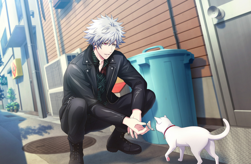 1boy grey_eyes kurosaki_ranmaru solo uta_no_prince-sama white_hair