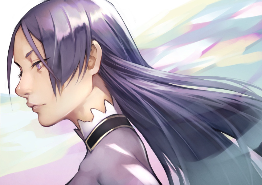1girl 55level abstract_background ears fate/grand_order fate_(series) high_collar highres lips long_hair minamoto_no_raikou_(fate/grand_order) portrait profile purple_hair realistic solo violet_eyes wind