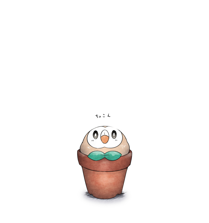 bird black_sclera blush gen_7_pokemon highres kashiwa_(3920kashiwa) light_blush looking_at_viewer no_humans owl plant pokemon pokemon_(creature) pot potted_plant rowlet simple_background solo translation_request white_background white_eyes