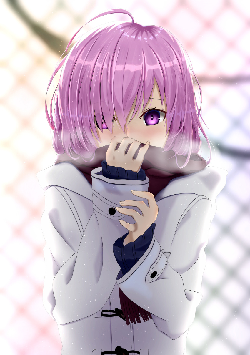 1girl absurdres ahoge backlighting blue_sweater brown_scarf coat eyes_visible_through_hair fate/grand_order fate_(series) hair_between_eyes hair_over_one_eye highres long_sleeves looking_at_viewer mash_kyrielight pink_hair ribbed_sweater scarf scarf_over_mouth shiny shiny_hair short_hair solo sou_skate714 standing steam sweater upper_body violet_eyes white_coat winter_clothes winter_coat