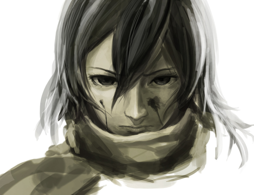 black_eyes black_hair blood honda_(1570728) mikasa_ackerman realistic scarf shingeki_no_kyojin short_hair