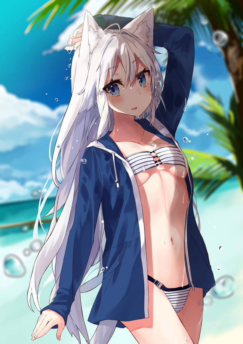 1girl absurdres animal_ear_fluff animal_ears arm_up bikini bikini_under_clothes blue_eyes blue_jacket blue_sky blush breasts cat_ears clouds collarbone commentary_request day eyebrows_visible_through_hair highres jacket long_hair looking_at_viewer medium_breasts navel nuko_miruku ocean open_clothes open_jacket original palm_tree sky solo standing striped striped_bikini swimsuit tail tree wet white_bikini white_hair