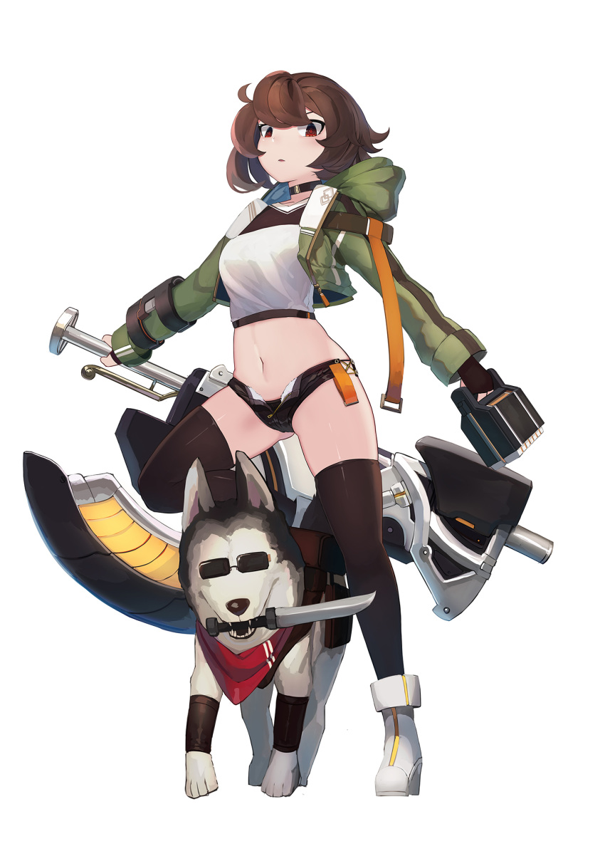 1girl animal bandana bangs black_choker black_panties black_shorts boots breasts brown_gloves brown_hair brown_legwear choker commentary_request crop_top cropped_jacket dog eyebrows_behind_hair fingerless_gloves full_body gloves green_jacket highres holding holding_weapon hood hood_down hooded_jacket jacket knife looking_at_viewer mecha_musume medium_breasts micro_shorts midriff mouth_hold natori_youkai navel open_clothes open_fly open_jacket open_shorts original panties parted_lips red_eyes shirt shorts simple_background skindentation solo standing standing_on_one_leg sunglasses thigh-highs underwear weapon white_background white_footwear white_shirt