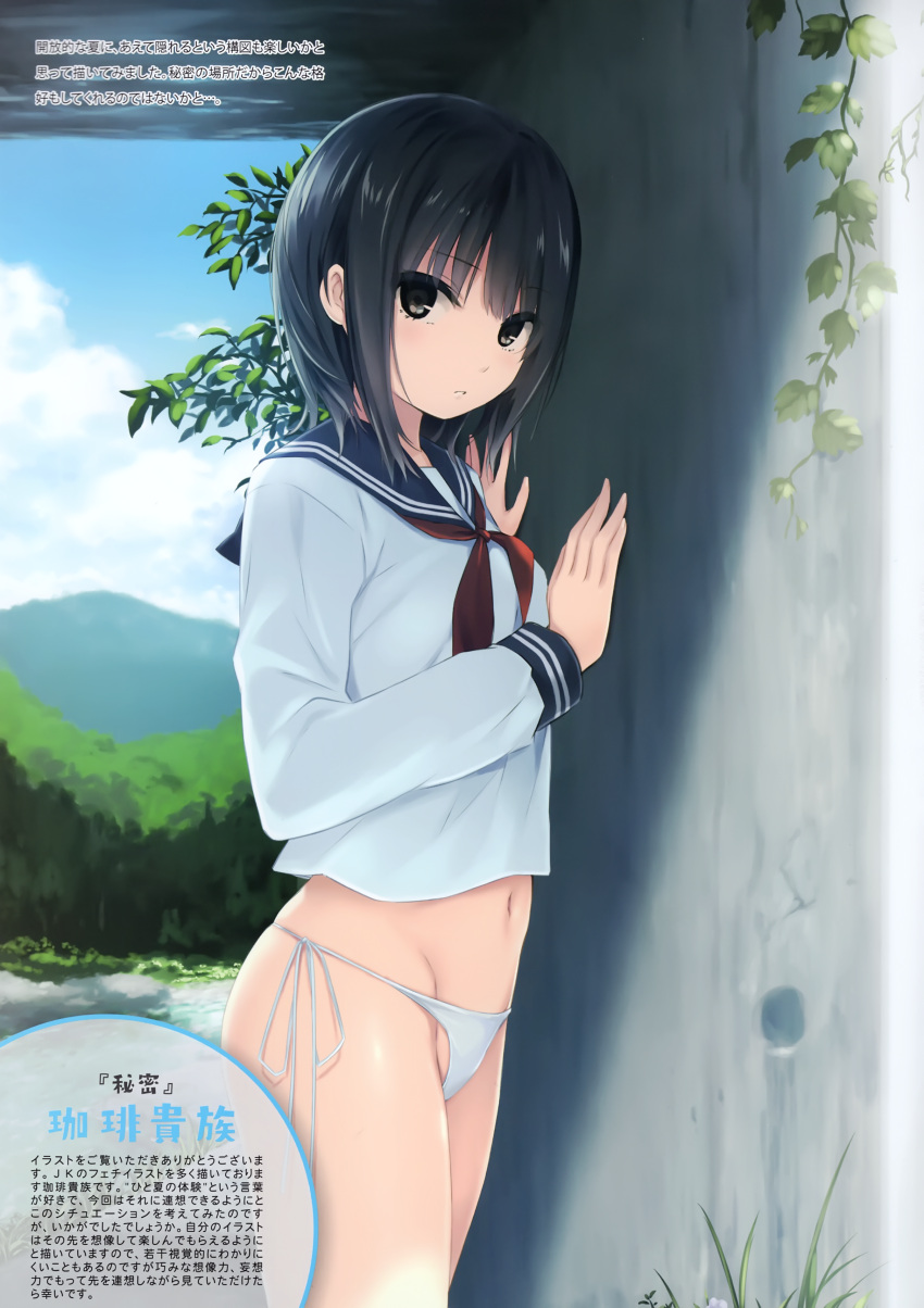 1girl absurdres black_eyes black_hair black_sailor_collar blue_sky clouds coffee-kizoku cowboy_shot day grass highres leaf long_sleeves looking_at_viewer navel neckerchief no_pants original outdoors panties red_neckwear sailor_collar sailor_shirt shirt short_hair side-tie_panties sidelocks sky solo standing underwear white_panties white_shirt