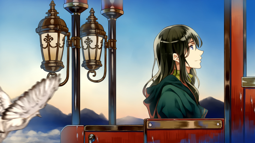 1boy bird black_hair blue_eyes blue_sky blurry cheese_kang day highres hood hood_down lamppost leon_stephanotis male_focus sitting sky solo violet_evergarden