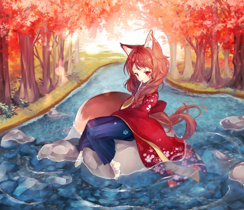 1girl animal_ear_fluff animal_ears autumn bandaged_feet bangs blue_hakama braid brown_hair commentary english_commentary finger_to_mouth floral_print fox_ears fox_girl fox_tail fuyusuke_(hz+) hair_ornament hairclip hakama hand_up highres japanese_clothes kimono long_hair long_sleeves looking_at_viewer original parted_lips print_kimono red_eyes red_kimono sitting solo tail tree very_long_hair water wide_sleeves