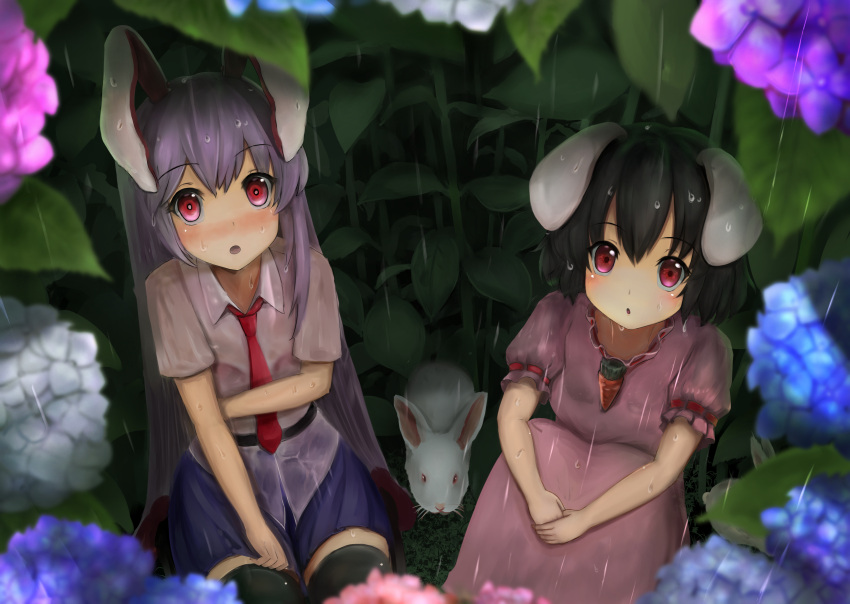 :o animal_ears arm_across_chest belt black_hair black_legwear blue_skirt blush carrot_necklace commentary_request dress eyebrows_visible_through_hair flower highres hydrangea inaba_tewi knees_to_chest lavender_hair leg_hug long_hair looking_at_viewer looking_up luke_(kyeftss) miniskirt necktie outdoors own_hands_together pink_dress puffy_short_sleeves puffy_sleeves rabbit rabbit_ears rain red_eyes red_neckwear reisen_udongein_inaba shirt short_hair short_sleeves sitting skirt skirt_hold thigh-highs touhou untucked_shirt very_long_hair wet wet_clothes wet_hair white_shirt