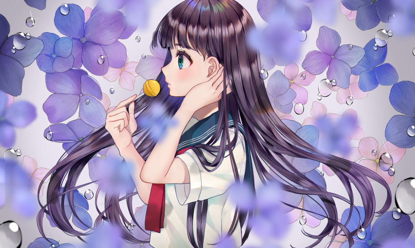 1girl black_hair blue_eyes blue_flower blue_sailor_collar blurry blurry_foreground candy closed_mouth commentary_request depth_of_field floating_hair flower food from_side hands_up holding_lollipop hydrangea lollipop long_hair looking_away original pink_flower profile red_neckwear sailor_collar school_uniform serafuku shirt short_sleeves solo upper_body usamochi. water_drop white_shirt