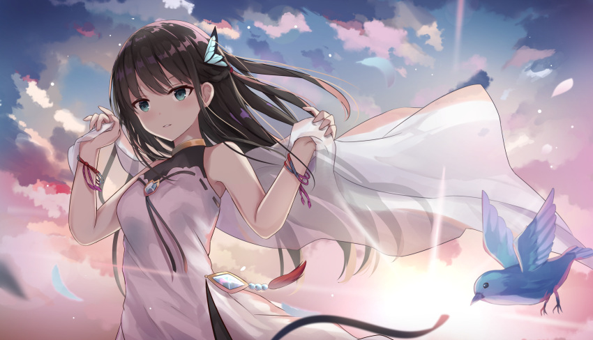1girl bangs bird black_hair blue_eyes blurry_foreground bracelet butterfly_hair_ornament cowboy_shot dress hair_ornament highres jewelry long_hair looking_at_viewer original see-through shawl sleeveless solo sunset touhourh wind