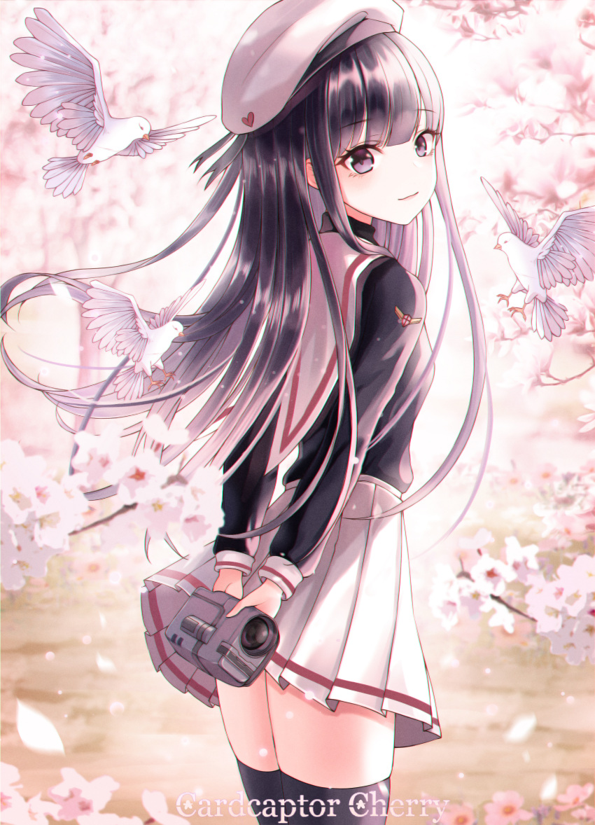 1girl :3 absurdres animal beret bird black_hair black_legwear black_shirt camera cardcaptor_sakura cherry_blossoms cowboy_shot daidouji_tomoyo dove eumi_114 floating_hair hat high-waist_skirt highres holding long_hair long_sleeves looking_at_viewer looking_back miniskirt petals pleated_skirt sailor_collar school_uniform shirt sidelocks skirt smile solo standing thigh-highs violet_eyes white_headwear white_sailor_collar white_skirt zettai_ryouiki