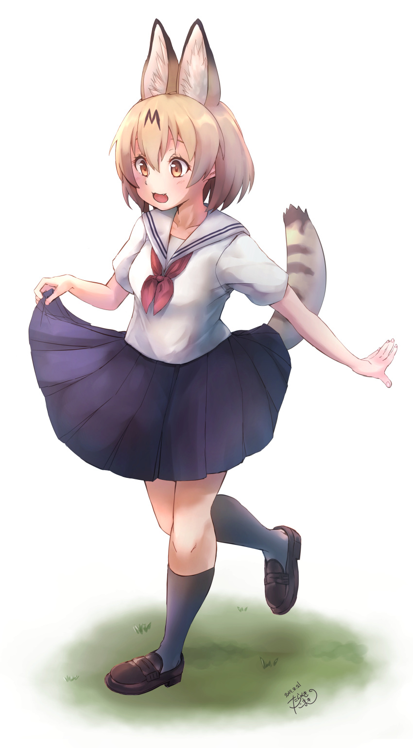 1girl :3 absurdres alternate_costume animal_ears blonde_hair blush commentary_request eyebrows_visible_through_hair fang highres kemono_friends loafers navy_blue_legwear navy_blue_skirt neckerchief open_mouth pleated_skirt red_neckwear sailor_collar school_uniform serafuku serval_(kemono_friends) serval_ears serval_print serval_tail shirt shoes short_hair short_sleeves skirt socks solo standing standing_on_one_leg tail taracheesesan white_shirt yellow_eyes