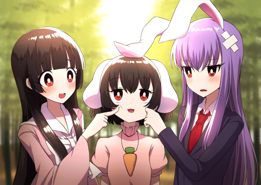 3girls :3 animal_ears bamboo bamboo_forest bangs black_hair blazer blue_coat blunt_bangs blurry blush bow bowtie bright_pupils carrot_necklace cheek_pinching cheek_poking commentary_request crossed_bandaids day depth_of_field dress dress_shirt eyebrows_visible_through_hair forest hair_between_eyes hand_on_another's_cheek hand_on_another's_face high_collar highres houraisan_kaguya inaba_tewi jacket long_hair long_sleeves looking_at_another looking_up multiple_girls nature necktie open_mouth outdoors pinching pink_dress pink_shirt poking puffy_short_sleeves puffy_sleeves purple_hair rabbit_ears red_eyes red_neckwear reisen_udongein_inaba shirt short_sleeves sidelocks standing touhou tsukimirin upper_body very_long_hair white_neckwear white_pupils white_shirt