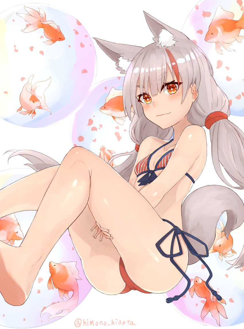 1girl absurdres animal_ear_fluff animal_ears azur_lane bangs bare_arms bare_legs bare_shoulders bikini blush breasts collarbone commentary_request eyebrows_visible_through_hair fish foot_out_of_frame fox_ears fox_tail front-tie_bikini front-tie_top goldfish grey_hair highres himono_hinata kamikaze_(azur_lane) light_smile low_twintails micro_bikini multicolored_hair orange_eyes side-tie_bikini sidelocks small_breasts smirk solo star star-shaped_pupils streaked_hair striped striped_bikini swimsuit symbol-shaped_pupils tail thick_eyebrows twintails twitter_username
