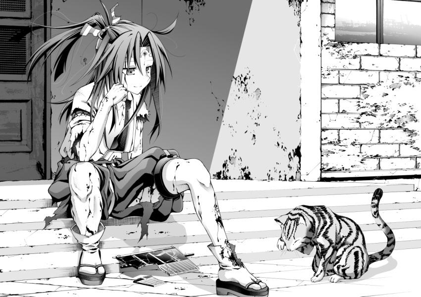 1girl akaneharu_ohkami bangs blood blood_on_face bloody_clothes breasts brick_wall cat chin_rest closed_eyes closed_mouth commentary day door elbow_rest full_body geta greyscale hachimaki hair_between_eyes hair_censor headband high_ponytail injury japanese_clothes kantai_collection kimono long_hair monochrome outdoors shadow shorts sitting small_breasts smile solo stairs tabi torn_clothes wall window zuihou_(kantai_collection)