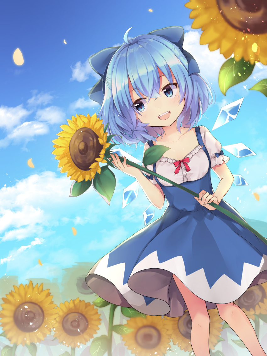 1girl :d absurdres ahoge bangs blue_eyes blue_hair blue_skirt blue_sky cirno clouds collarbone commentary_request day eyebrows_visible_through_hair feet_out_of_frame field flower flower_field frills hair_between_eyes hand_up high-waist_skirt highres holding holding_flower ice ice_wings looking_to_the_side open_mouth outdoors petals puffy_short_sleeves puffy_sleeves red_ribbon ribbon ruhika short_hair short_sleeves skirt sky smile solo standing sunflower touhou wings