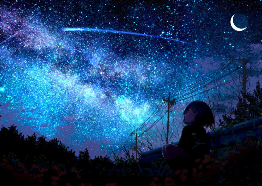 1girl black_hair blush crescent_moon dark flower grass highres kumeki_(kk4615) looking_up moon night night_sky original outdoors power_lines railing scenery shooting_star short_hair sitting sky star_(sky) starry_sky telephone_pole tree