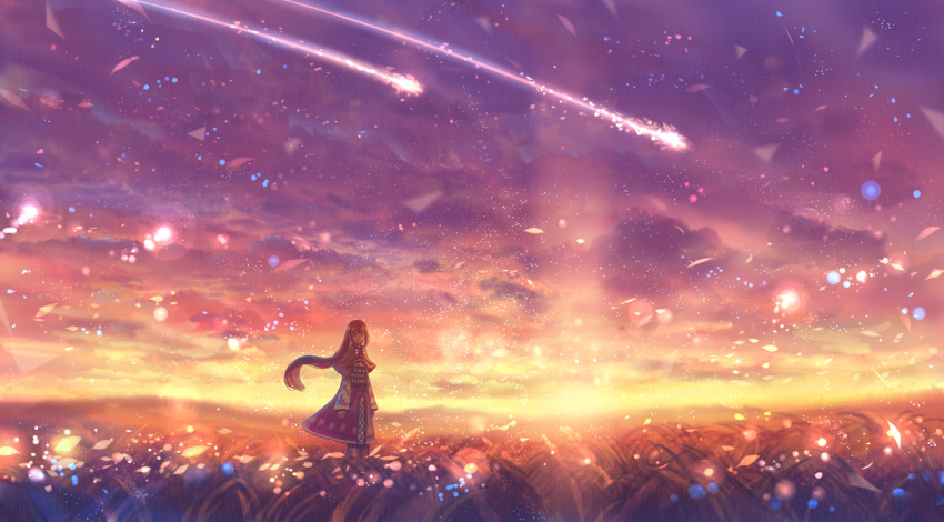 1girl bangs capelet clouds cloudy_sky dress dusk field floating_hair grass light_particles long_hair looking_at_viewer nature original outdoors sakimori_(hououbds) scenery shooting_star sky solo standing sunset traditional_dress wind