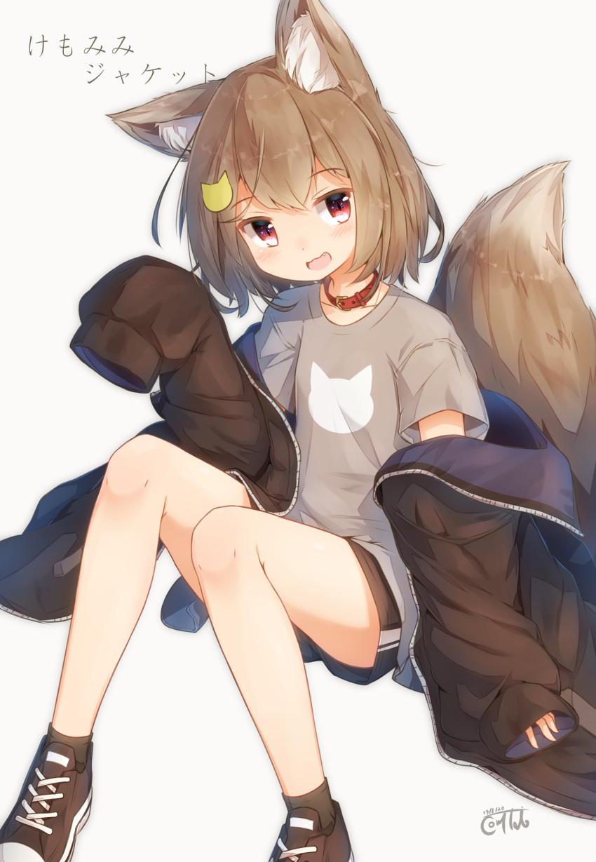 1girl :d animal_ear_fluff animal_ears animal_print bangs blush brown_footwear brown_hair brown_jacket brown_legwear brown_shorts cat_hair_ornament cat_print collar collarbone commentary_request coreytaiyo dated eyebrows_visible_through_hair fang fox_ears fox_girl fox_tail grey_background grey_shirt hair_ornament highres jacket knees_up long_hair long_sleeves looking_at_viewer off_shoulder open_clothes open_jacket open_mouth original puffy_long_sleeves puffy_sleeves red_collar red_eyes shirt shoes short_shorts short_sleeves shorts signature simple_background sitting sleeves_past_fingers sleeves_past_wrists smile socks solo tail translation_request