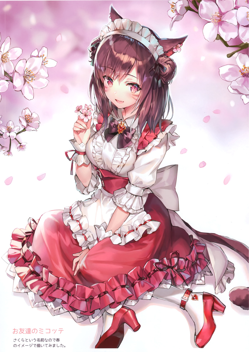 1girl absurdres animal_ears apron bow bowtie breasts brooch cat_ears cat_girl cat_tail cherry_blossoms collared_shirt double_bun facial_mark fang final_fantasy final_fantasy_xiv flower frills hair_bun high_heels highres holding holding_flower jewelry large_breasts long_hair long_skirt looking_at_viewer maid maid_apron maid_headdress miqo'te momoko_(momopoco) open_mouth petals pink_flower red_eyes red_footwear red_skirt redhead scan shirt shoes sitting skirt slit_pupils smile solo tail underbust waist_apron white_legwear white_shirt wrist_cuffs