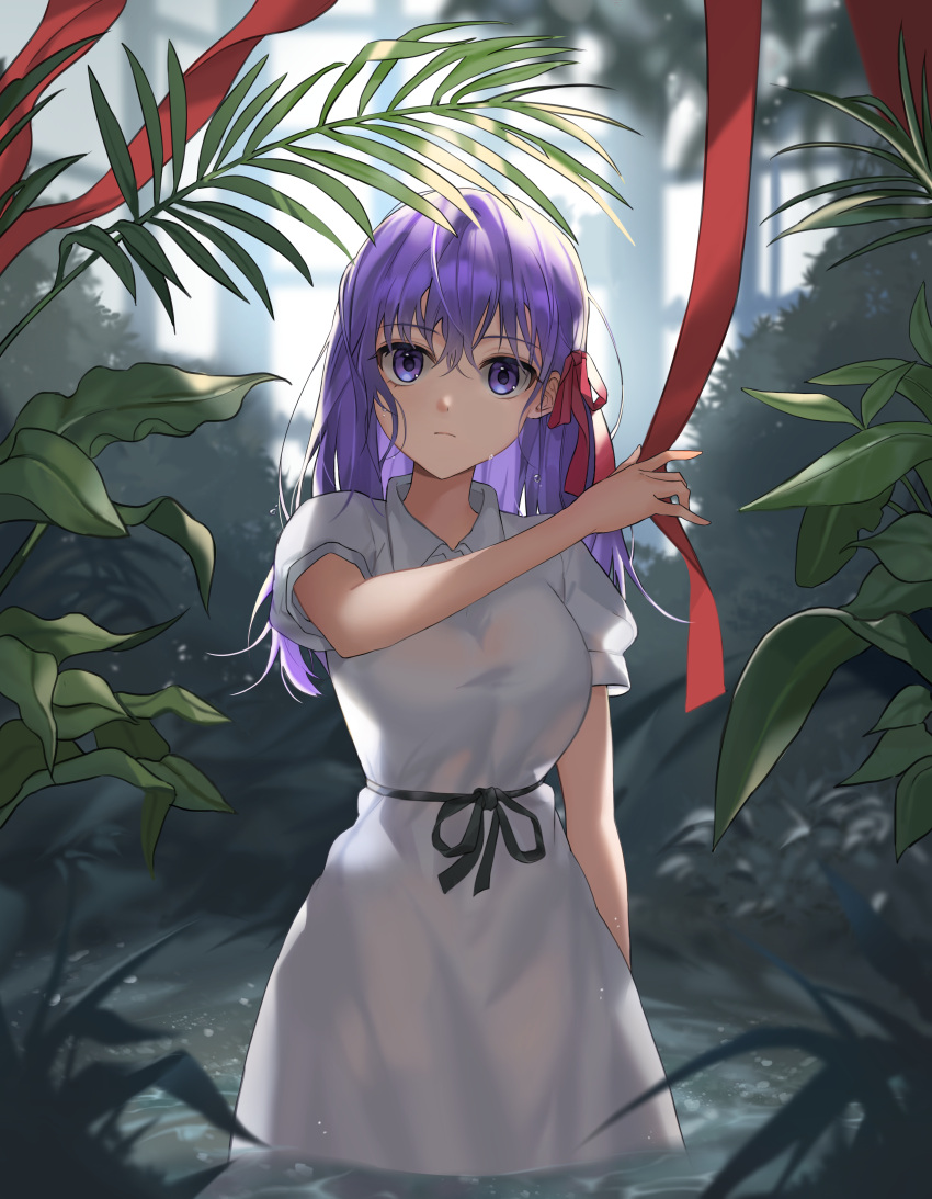 1girl absurdres black_ribbon closed_mouth dress fate/stay_night fate_(series) hair_ribbon heaven's_feel highres huge_filesize long_hair looking_at_viewer matou_sakura partially_submerged plant purple_hair red_ribbon ribbon roti short_sleeves solo violet_eyes water wet wet_clothes wet_hair white_dress