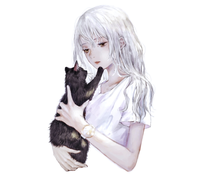 1girl animal bangs black_cat brown_eyes cat highres holding holding_animal holding_cat klasse14 long_hair original parted_lips shirone_(coxo_ii) shirt short_sleeves simple_background solo upper_body watch watch white_background white_hair white_shirt