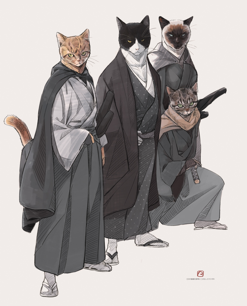 absurdres animal black_cat black_hakama black_kimono blue_eyes brown_scarf cat cat_focus cloak clothed_animal fighting_stance furry green_eyes grey_background grey_hakama grey_kimono hakama haori highres japanese_clothes katana kimono kokudou_juunigou looking_at_viewer original ready_to_draw samurai scarf sheath sheathed simple_background socks squatting stance standing sword tabi translation_request weapon whiskers white_footwear white_legwear yellow_eyes zouri