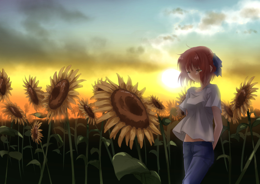 1girl absurdres arms_behind_back blue_ribbon chiizu_ore clouds cowboy_shot denim evening field flower flower_field hair_ribbon highres jeans kohaku light_smile looking_down medium_hair pants pink_hair plant ribbon shirt solo sunflower t-shirt tsukihime white_shirt yellow_eyes