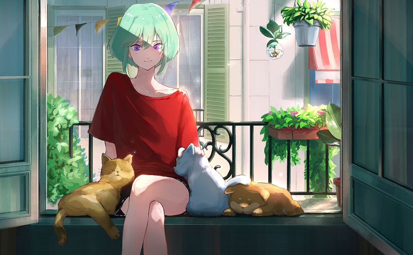 1boy cat crossed_legs flower_pot green_hair highres lio_fotia male_focus nei_2_lon promare shirt short_hair shorts sitting smile solo t-shirt violet_eyes window