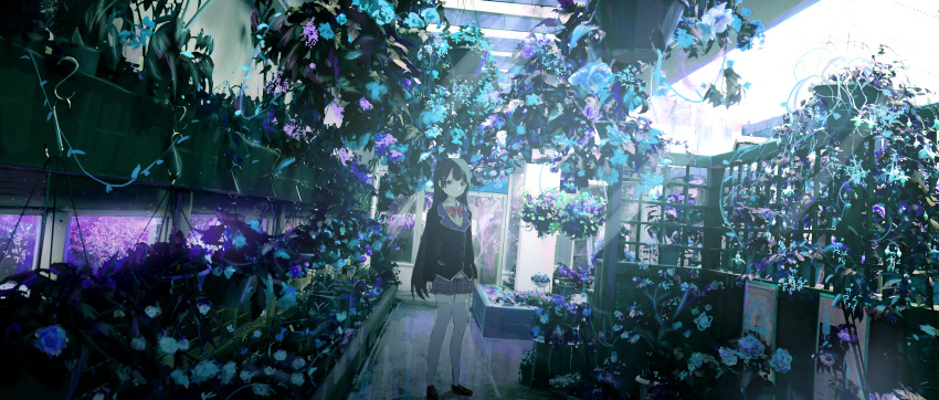 1girl absurdres bangs black_footwear black_hair black_jacket blazer blue_flower bow closed_mouth collared_shirt commentary day english_commentary flower grey_skirt hair_ornament hairclip highres huge_filesize indoors jacket kumamoto_nomii-kun long_hair looking_at_viewer nijisanji purple_flower red_bow shirt shoes skirt smile solo standing sunlight thigh-highs tsukino_mito very_long_hair violet_eyes virtual_youtuber white_legwear white_shirt