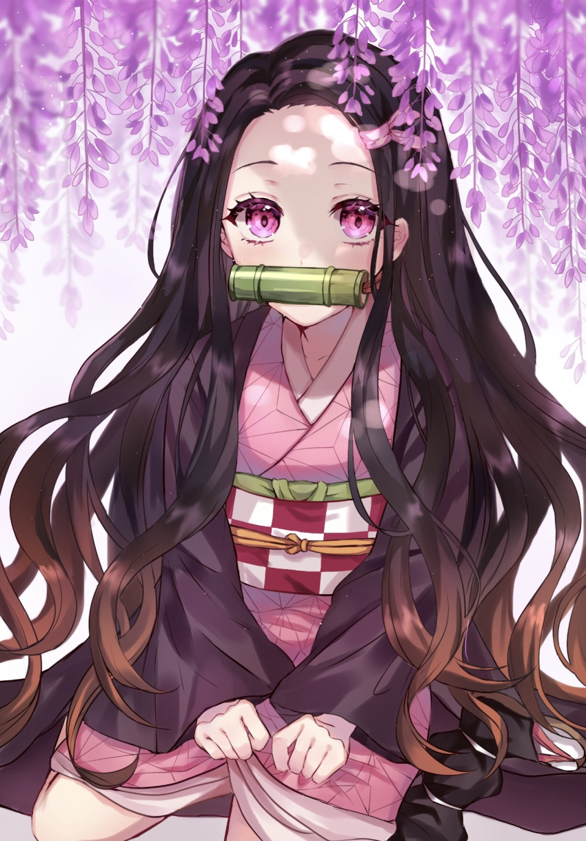 1girl bamboo bit_gag black_hair black_legwear brown_hair checkered_obi flower forehead gag gradient_hair haori highres japanese_clothes kamado_nezuko kimetsu_no_yaiba kimono long_hair long_sleeves looking_at_viewer multicolored_hair parum39 pink_eyes pink_kimono sandals shadow sitting solo thighs two-tone_hair wariza wisteria