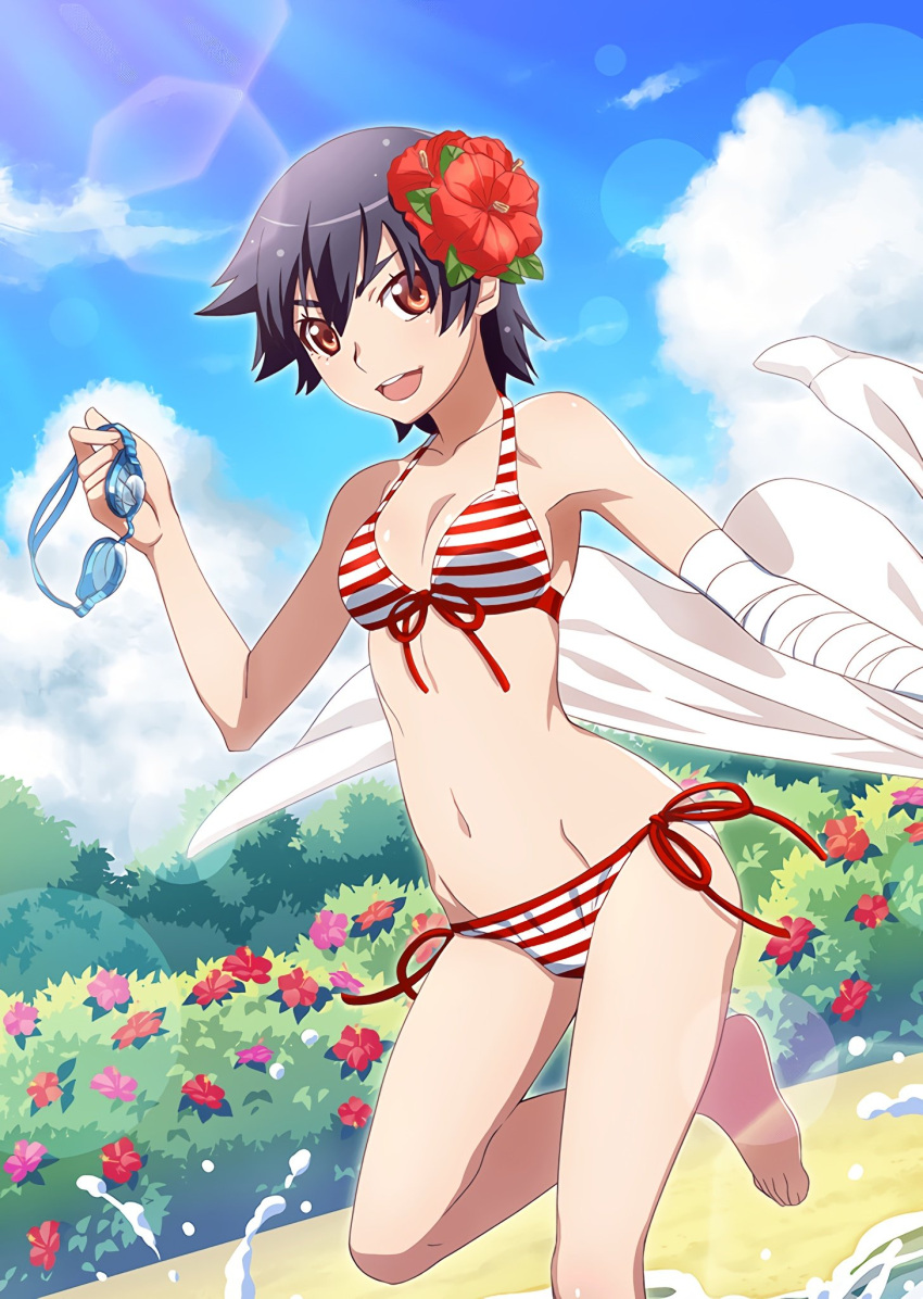 1girl bandaged_arm bandages bangs bare_legs bare_shoulders barefoot beach bikini black_hair blue_sky breasts brown_eyes bush flower hair_between_eyes hair_flower hair_ornament highres holding holding_goggles holding_jacket jacket kanbaru_suruga leg_up lens_flare looking_at_viewer medium_breasts monogatari_(series) monogatari_series_puc_puc official_art open_mouth red_bikini short_hair sky solo splashing striped striped_bikini swimsuit watanabe_akio white_jacket