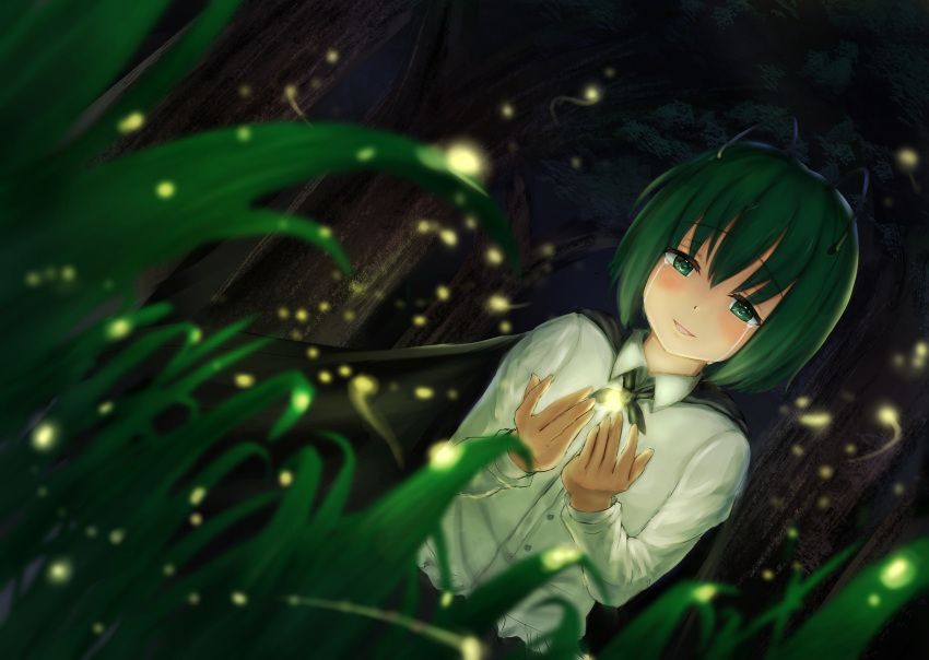 1girl antennae arms_up black_cape blush cape commentary_request crying crying_with_eyes_open dutch_angle eyebrows_visible_through_hair fireflies flat_chest forest grass green_eyes green_hair hair_between_eyes hands_together highres light_trail long_sleeves looking_at_viewer luke_(kyeftss) nature night open_hands outdoors parted_lips shirt short_hair solo standing streaming_tears tears touhou untucked_shirt upper_body white_shirt wing_collar wriggle_nightbug