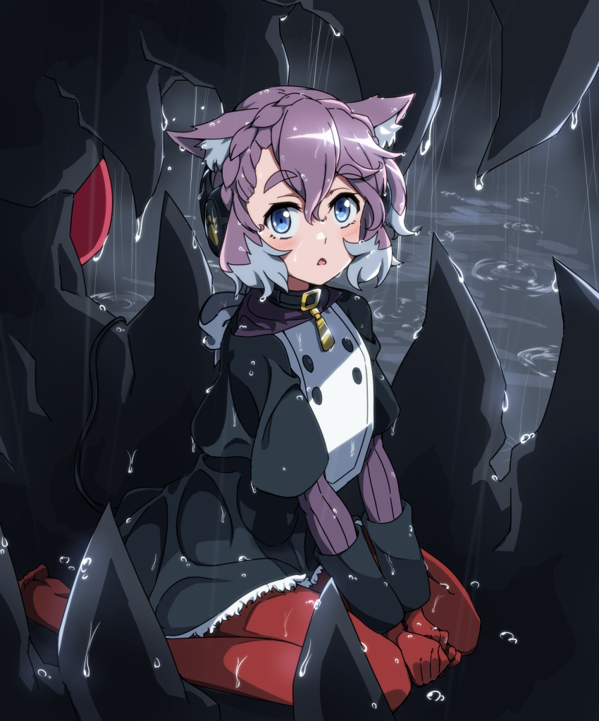 1girl animal_ear_fluff animal_ears black_collar blue_eyes blush braid collar elsa_(symphogear) full_body gloves hair_between_eyes highres kagari_leroy multicolored_hair open_mouth pantyhose pink_hair prehensile_tail purple_hair rain red_gloves red_legwear senki_zesshou_symphogear short_hair sitting solo tail triangle_mouth two-tone_hair wariza wet wet_hair white_hair wolf_ears