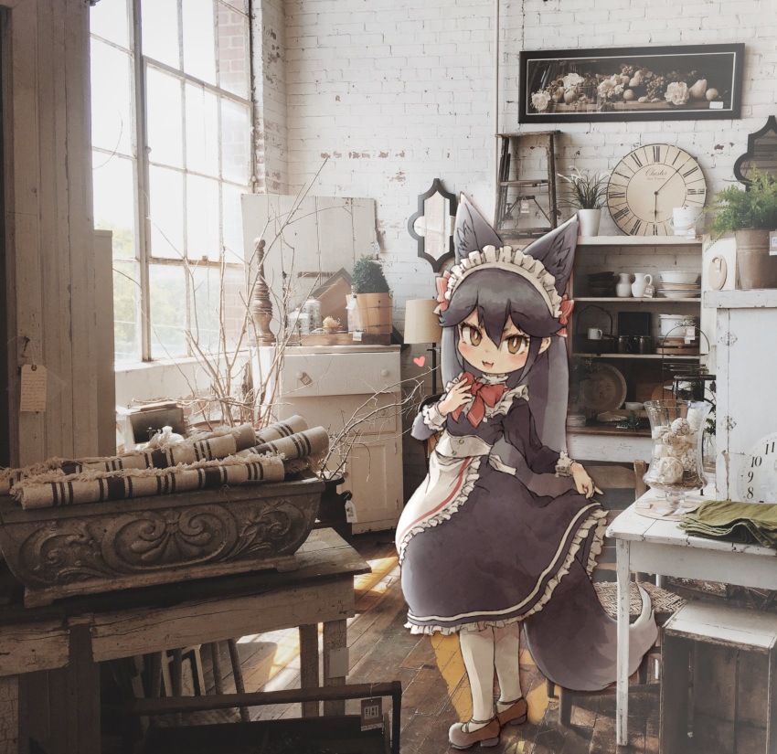 1girl :3 alternate_costume animal_ears apron black_dress blush bow bowtie brown_footwear dress enmaided extra_ears eyebrows_visible_through_hair fox_ears fox_girl fox_tail frilled_apron frilled_dress frills grey_hair heart highres kemono_friends kemono_friends_3 kolshica long_hair long_sleeves maid maid_apron maid_dress maid_headdress mary_janes multicolored_hair open_mouth pantyhose photo_background red_neckwear shoes sidelocks silver_fox_(kemono_friends) silver_hair sleeve_cuffs solo tail white_frills white_legwear yellow_eyes