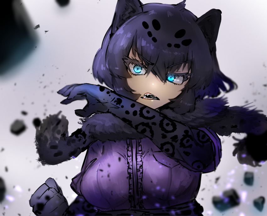 1girl adeshi_(adeshi0693119) animal_ears animal_print aqua_eyes bangs black_hair black_jaguar_(kemono_friends) breast_pocket clenched_hand debris elbow_gloves eyebrows_visible_through_hair eyelashes fang fur_scarf gloves hair_between_eyes hand_up head_tilt highres jaguar_ears jaguar_print kemono_friends medium_hair multicolored_hair open_mouth pocket print_gloves purple_shirt scarf serious shirt short_sleeves solo two-tone_hair upper_body v-shaped_eyebrows