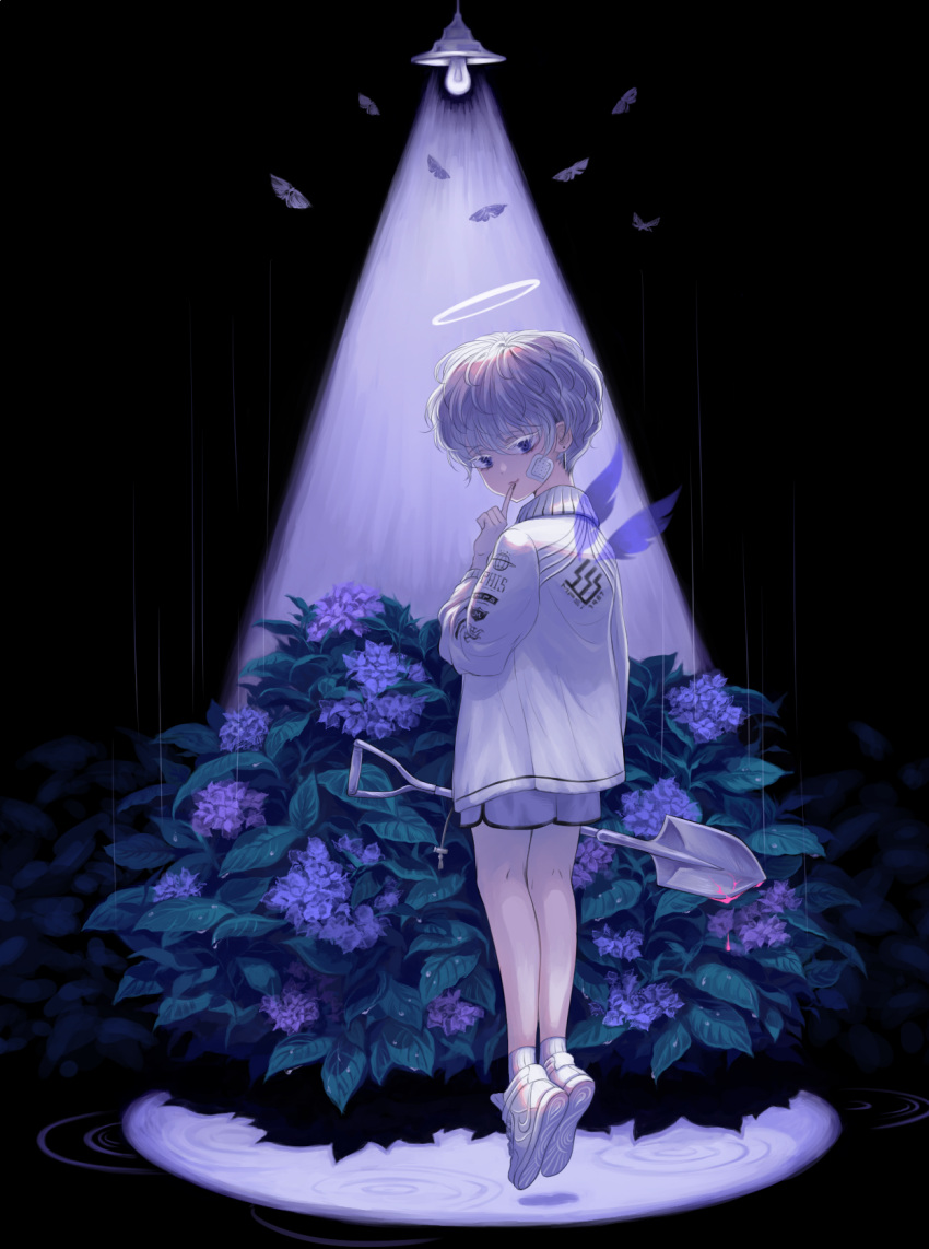 1boy aki_(xxparadexx) angel angel_wings black_nails blood bug child commentary_request fantasy feathered_wings finger_to_mouth floating flower full_body halo highres holding holding_shovel hydrangea insect lamp long_sleeves looking_at_viewer male_focus midair moth original purple_flower rain ripples short_hair shorts shovel shushing solo tools violet_eyes white_footwear white_hair wings