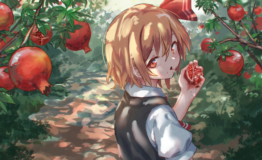 1girl :o bangs black_vest blonde_hair blush commentary_request eyebrows_visible_through_hair food from_behind fruit hair_between_eyes hair_ribbon head_tilt holding holding_food holding_fruit leaf looking_at_viewer looking_back open_mouth outdoors pomegranate puffy_short_sleeves puffy_sleeves red_eyes red_neckwear red_ribbon ribbon roke_(taikodon) rumia shirt short_hair short_sleeves solo touhou upper_body vest white_shirt