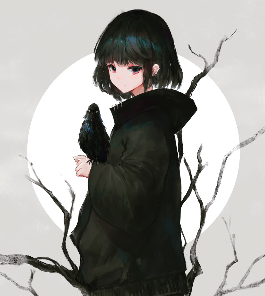 1girl absurdres animal bangs bare_tree bird black_hair black_jacket blush closed_mouth commentary_request crow ear_piercing eyebrows_visible_through_hair grey_background highres jacket kisei2 long_sleeves looking_at_viewer looking_to_the_side original piercing red_eyes short_hair sleeves_past_wrists solo tree two-tone_background white_background