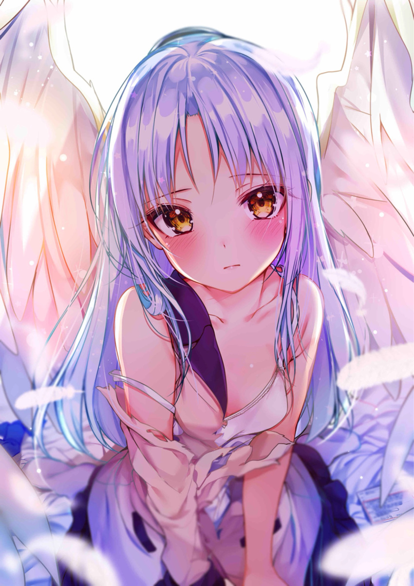 1girl angel_beats! bangs between_legs black_skirt blush bra breasts cardigan closed_mouth collarbone commentary_request eyebrows_visible_through_hair feathers from_above hand_between_legs hands_together highres long_hair long_sleeves looking_at_viewer own_hands_together rouka_(akatyann) school_uniform silver_hair sitting skirt small_breasts solo tachibana_kanade torn_clothes underwear v_arms wariza white_bra white_wings wings yellow_eyes