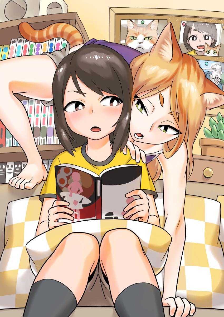 2girls animal_ears bangs barefoot black_legwear blonde_hair blush book bookshelf bright_pupils brown_eyes brown_hair brown_shorts camisole cat cat_ears cat_tail climbing commentary couch green_eyes grey_shorts hand_on_another's_shoulder highres holding holding_book humanization indoors long_hair looking_at_another looking_back manga_(object) multiple_girls on_couch open_mouth original photo_(object) pillow purple_shirt shirai_keita shirt short_sleeves shorts sitting socks striped_tail swept_bangs t-shirt tail white_pupils yellow_shirt yuri